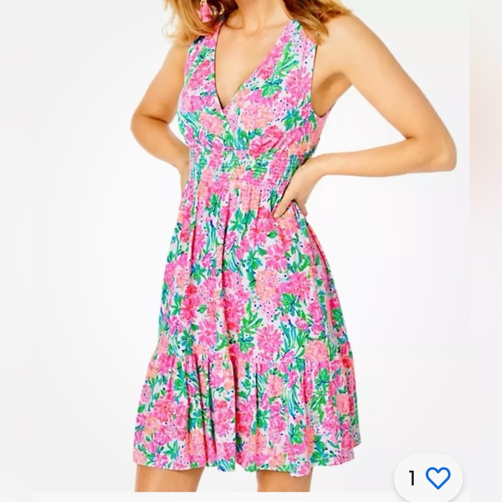 NWT Lilly Pulitzer Vivette Floral Dress “That’s What I Heard” Size Med